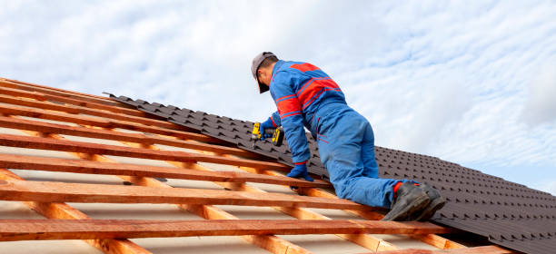Best Asphalt Shingles Roofing  in Lancaster, KY
